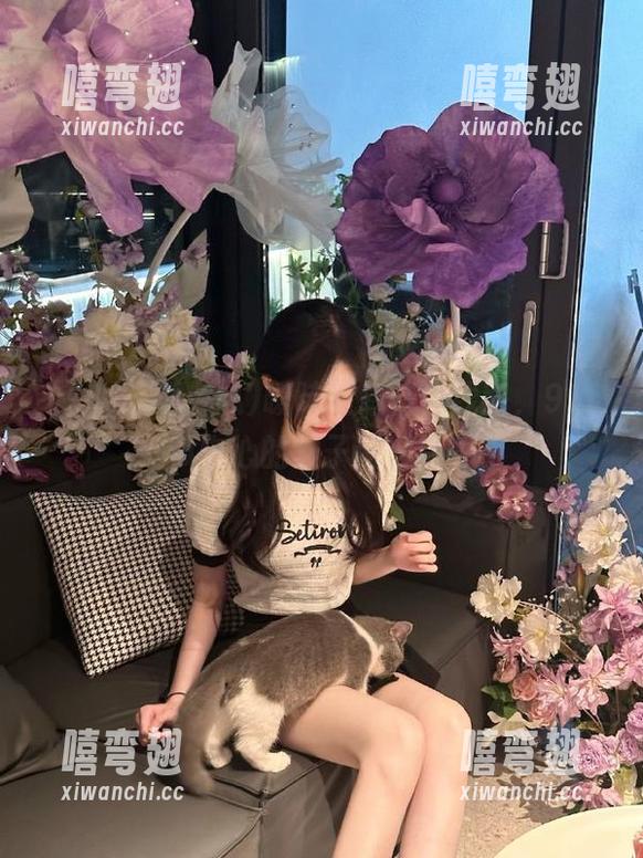 91i吃瓜中心 暧昧消息传递线路,91i吃瓜中心的摊子铺得真不小