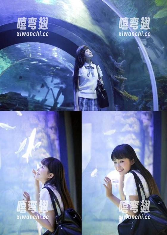 为啥吃瓜福利的永久会员看起来都那么会吃草呢？