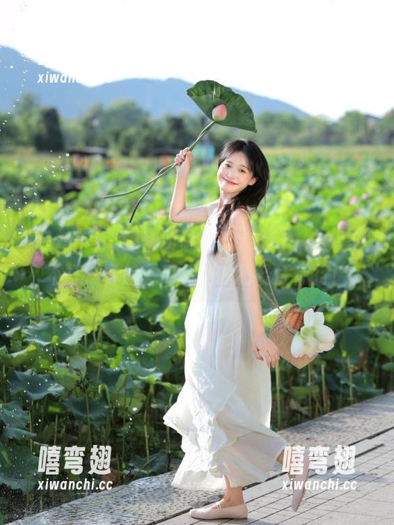 黑料不打烊 黎明破晓,zztt11.su黑料不打烊导航,瓜丛间的秘径任你行!