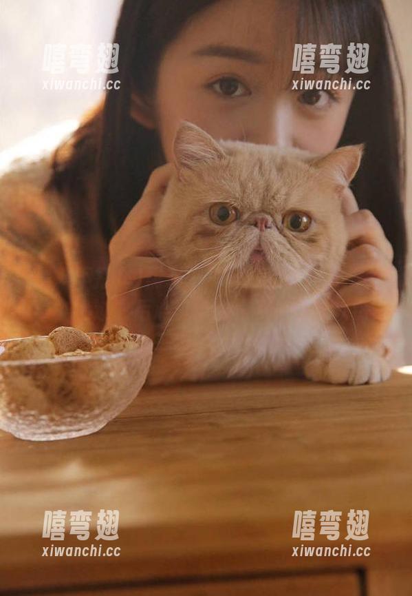 黑料不打烊 黑料不打烊网页tttzzz668.su,看过之后心里真的是多了几分火热?