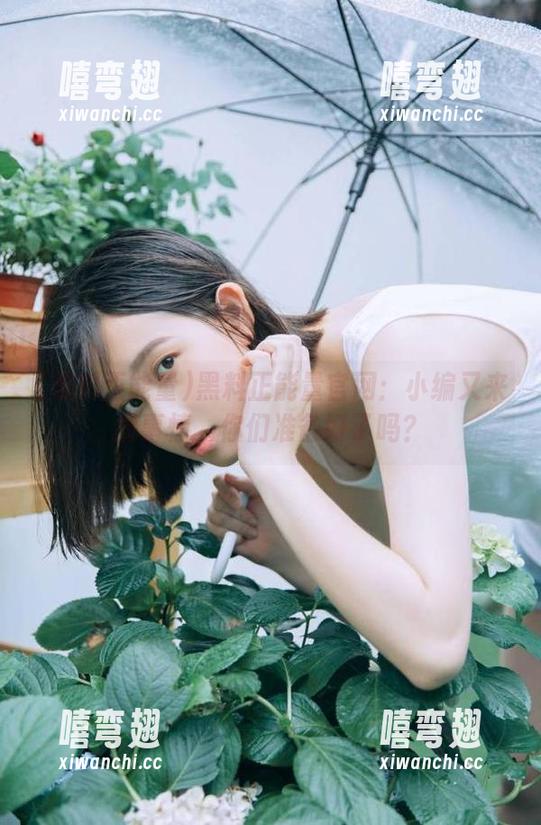 黑料正能量官网：小编又来搞事情，你们准备好了吗？