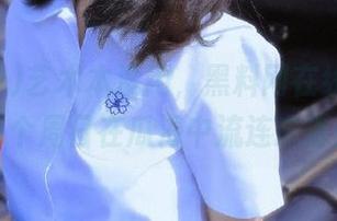 艺术本没用，黑料网在线却让我每个周日在瓜海中流连忘返！