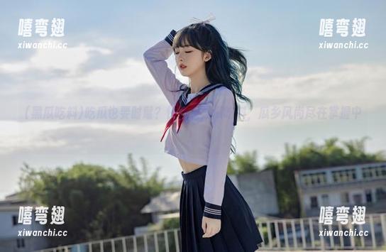 吃瓜也要时髦？快登录黑瓜吃料，瓜乡风尚尽在掌握中！